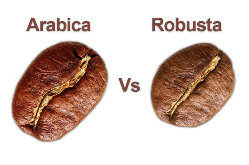 arabica-vs-robusta