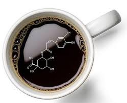 coffee-antioxidant-formula