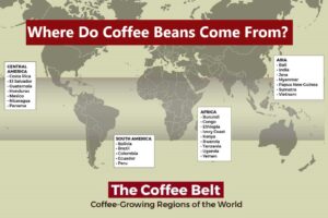 The-Coffee-Belt-logo