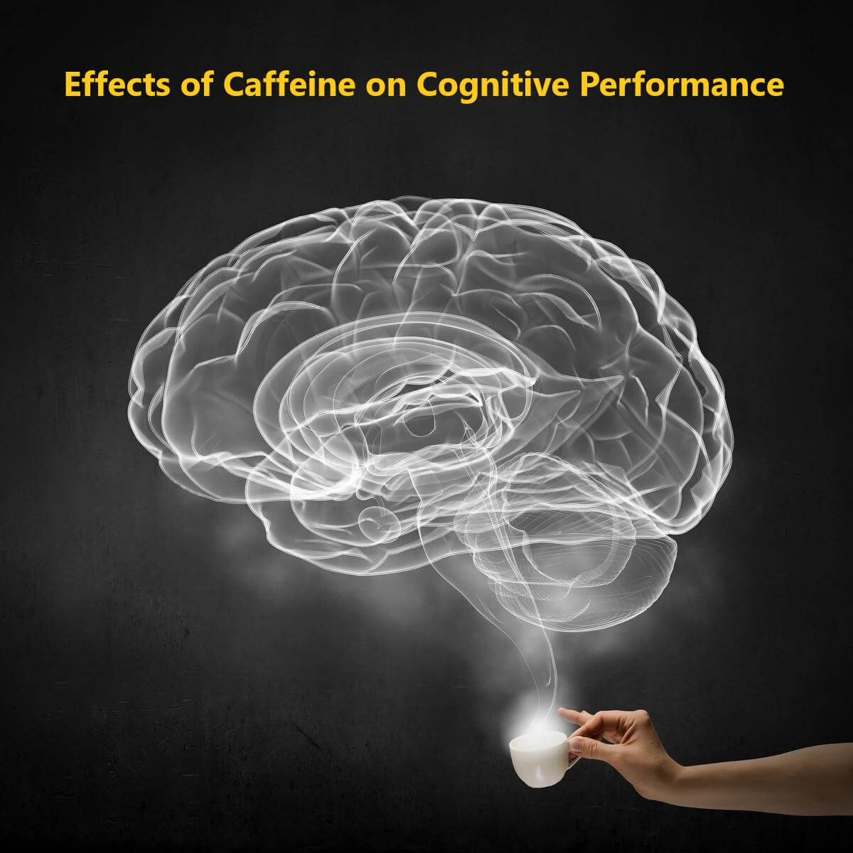caffeine_and_brain