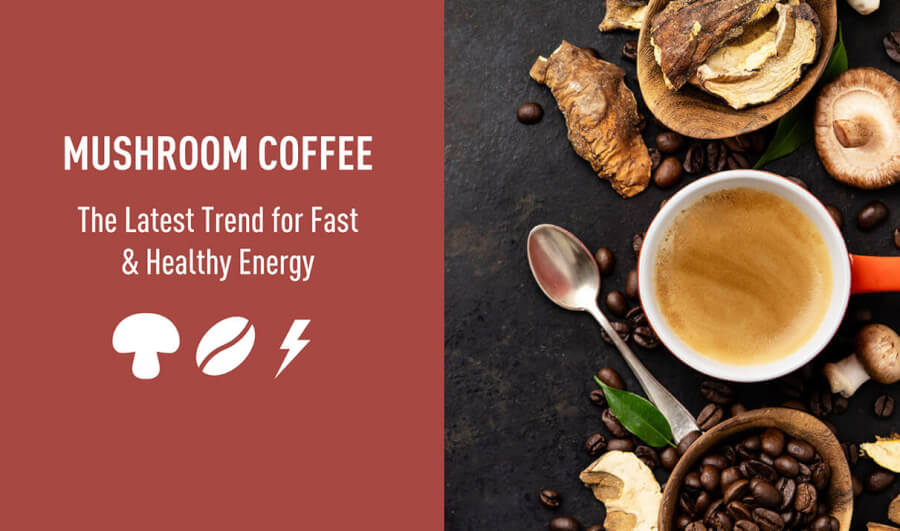 Mushroom Coffee – What Is It?